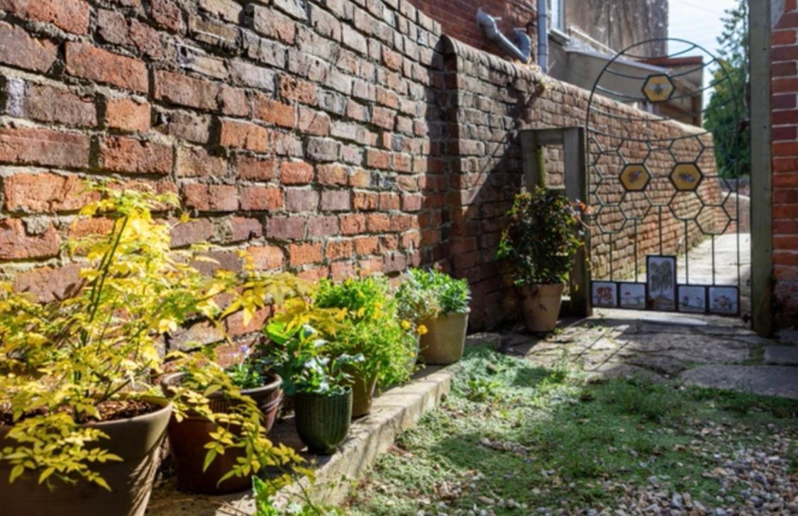 Bridport Garden Suite Ngoại thất bức ảnh
