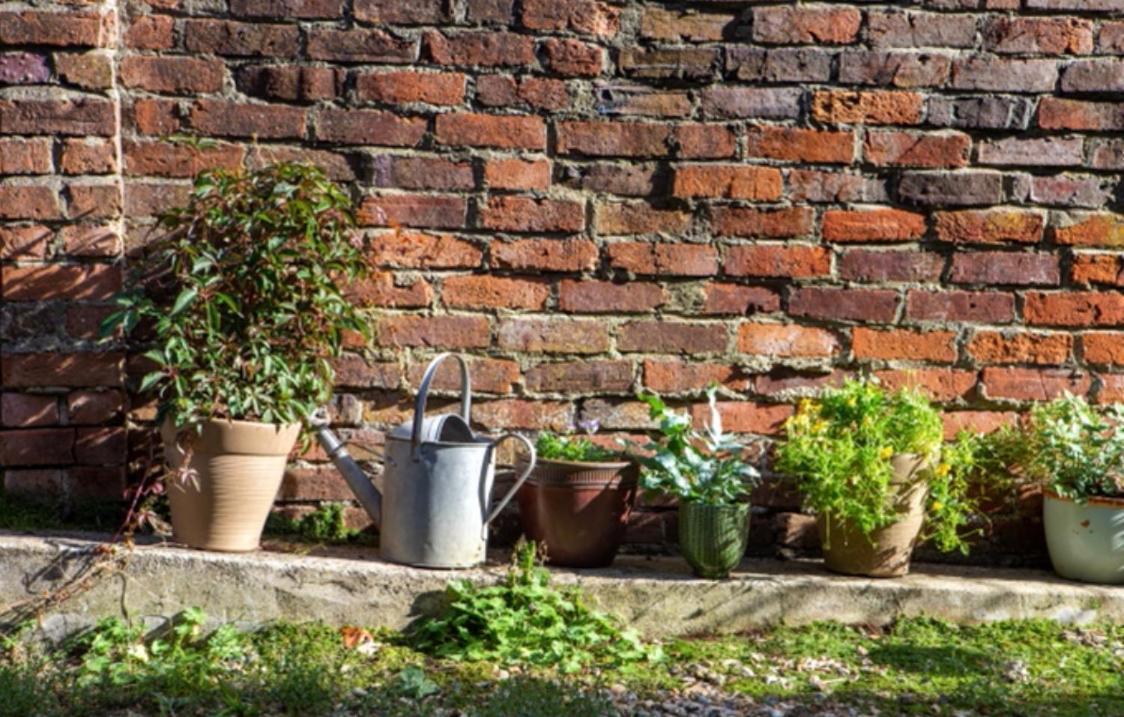 Bridport Garden Suite Ngoại thất bức ảnh