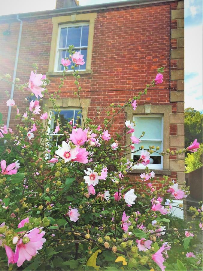 Bridport Garden Suite Ngoại thất bức ảnh